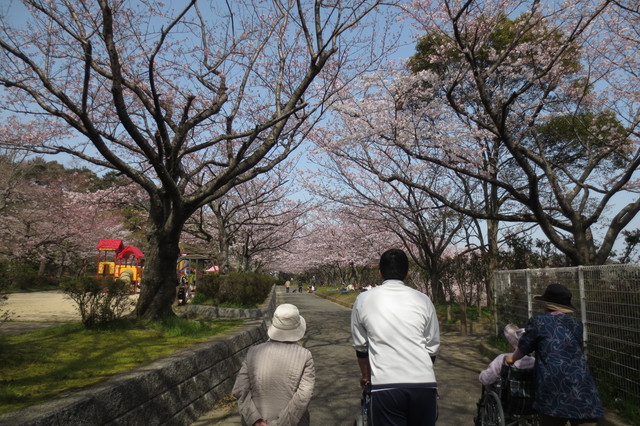 ぽかぽか陽気で