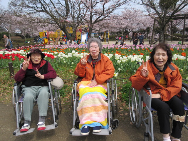 向山公園にお花見