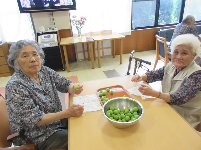 梅のへた取り