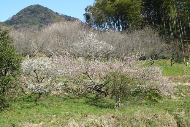 美しい風景