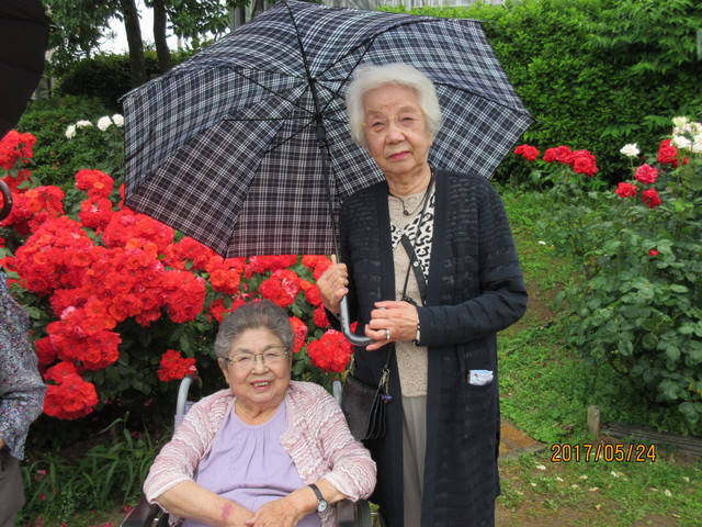 あいにくの雨