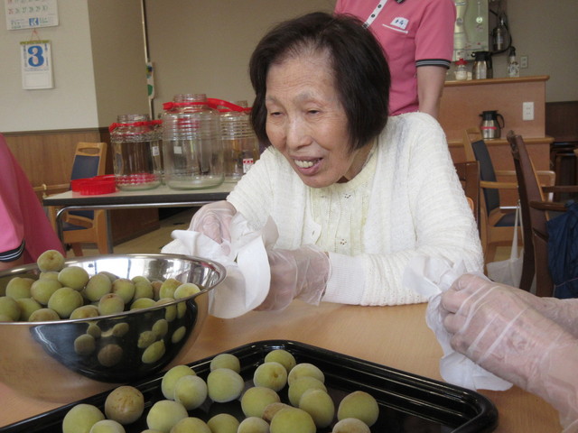 毎年　恒例の梅ジュース