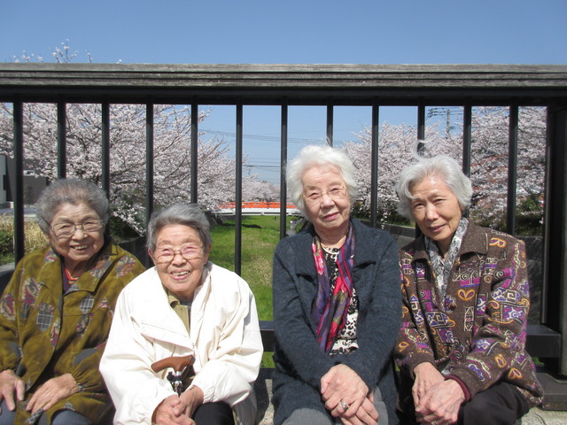 春の日差しに満開の桜