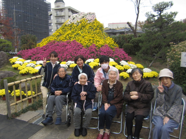 菊の展示会へ