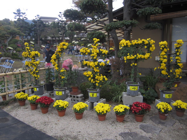 お花で文字が！？