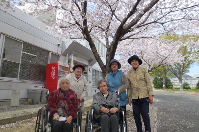 お花見ドライブ