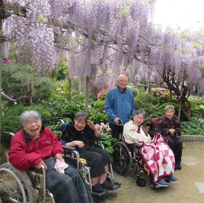 藤の花（1日目）