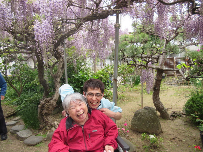 藤の花1日目