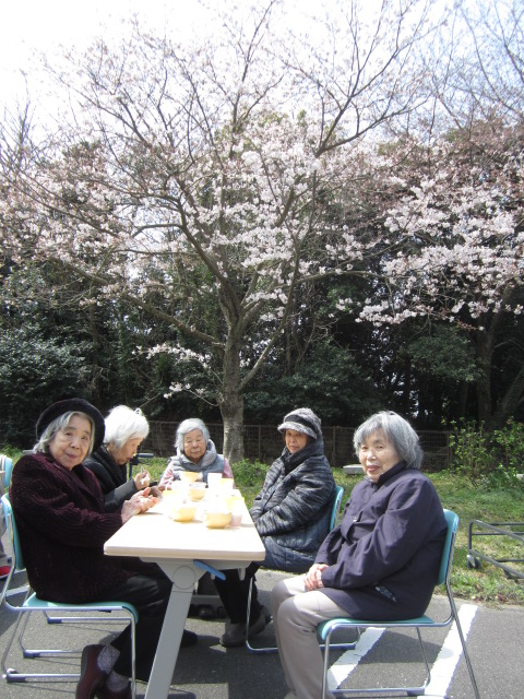 「お花見」