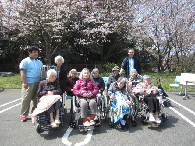 お花見