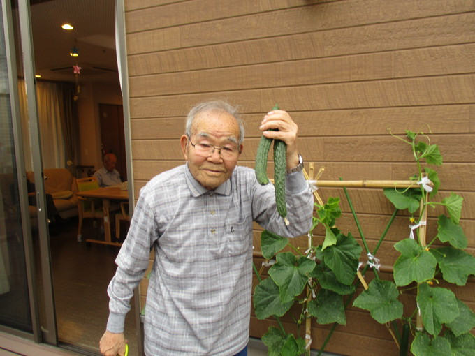 野菜日記6月26日