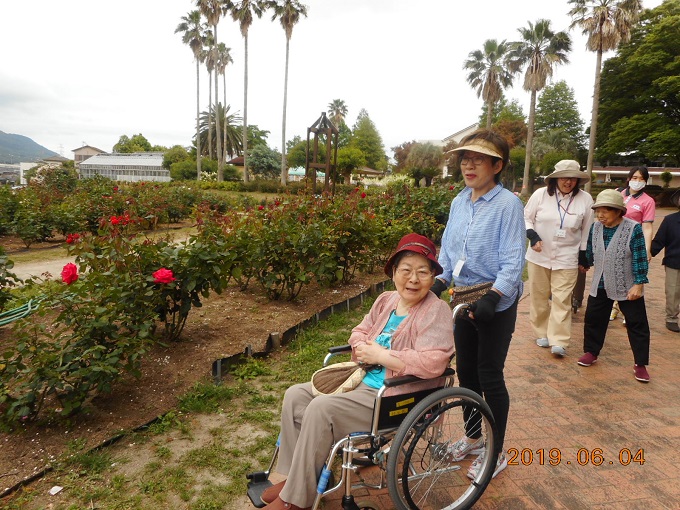 植物園ドライブ