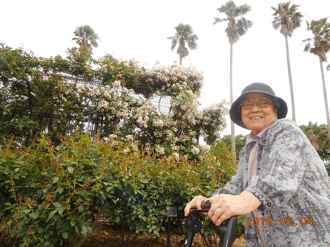 植物園ドライブ