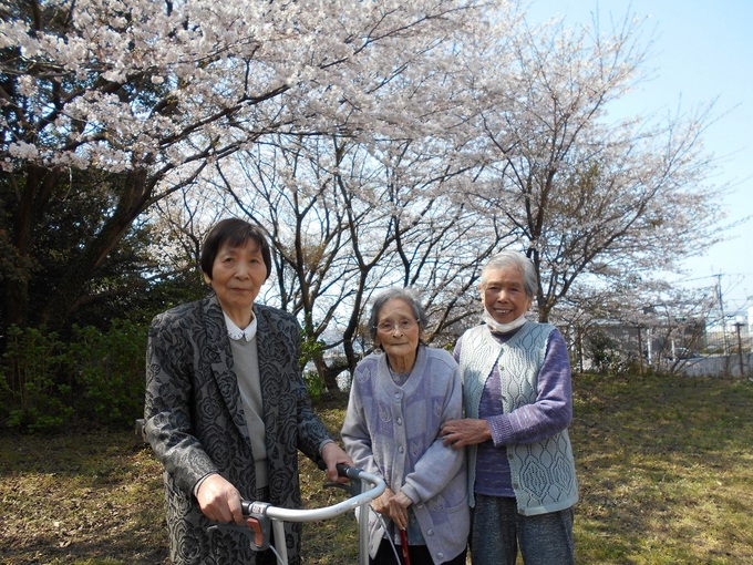 苑内散策(sakura)