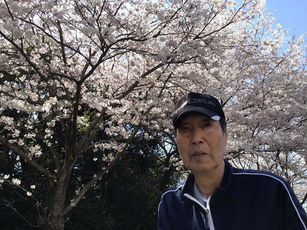 桜