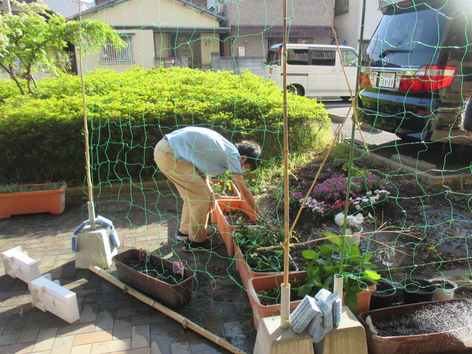 ふれあいむら園芸部