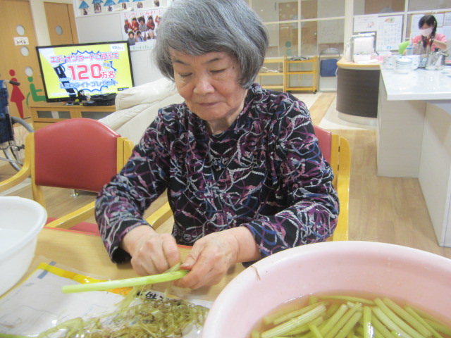 好日苑の裏山になんと蕗を発見しました。