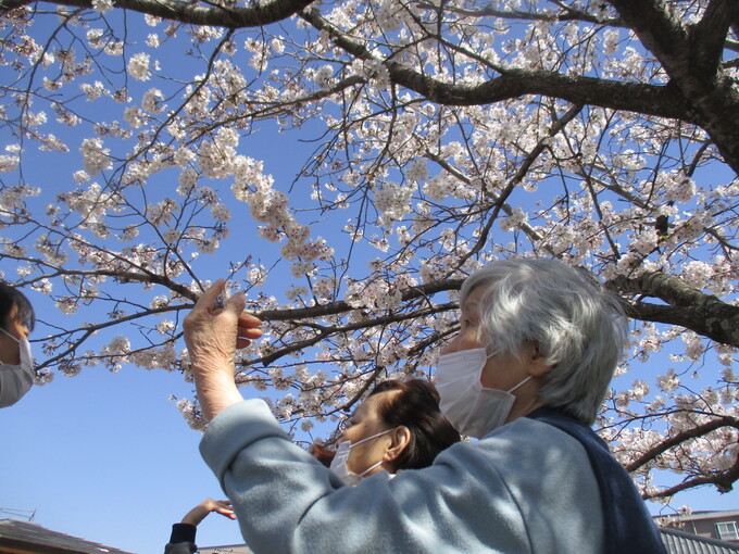 花見（令和5年）