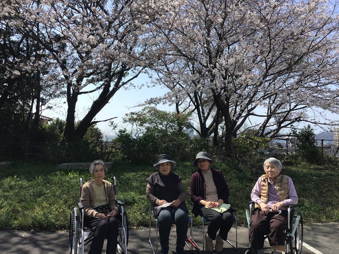 お花見