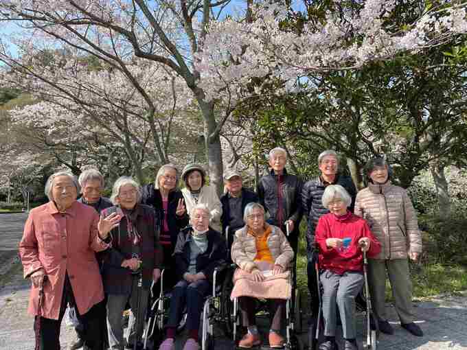 お花見ドライブ