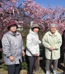 梅見ドライブ②