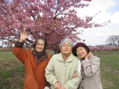 河津桜ドライブ①