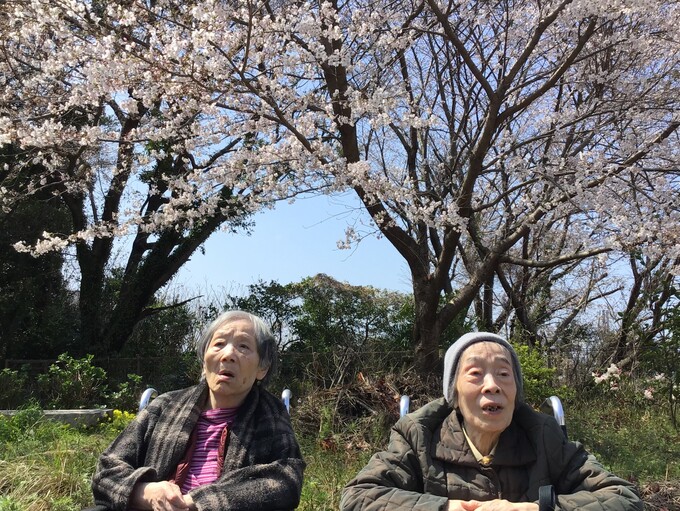 花見（朝日ヶ丘）