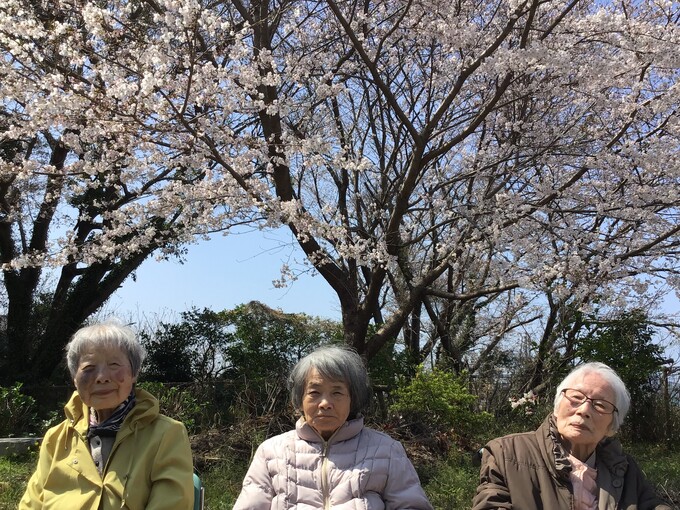 花見（朝日ヶ丘）