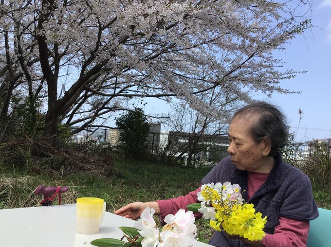 花見（夕日が丘）