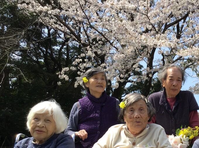 花見（夕日が丘）