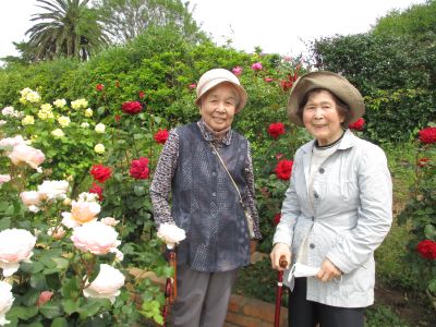 農事センターのバラ園へ☆彡①